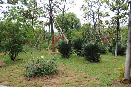 新宝会(中国区)有限公司-集团