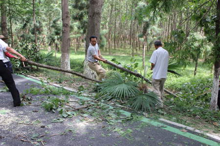新宝会(中国区)有限公司-集团