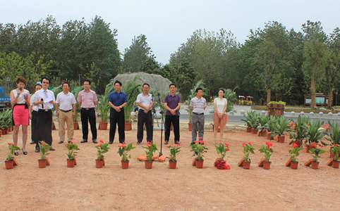 新宝会(中国区)有限公司-集团