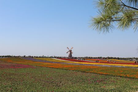 新宝会(中国区)有限公司-集团