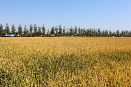 新宝会(中国区)有限公司-集团