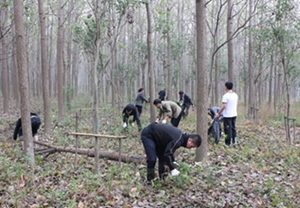 新宝会(中国区)有限公司-集团