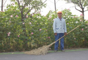 新宝会(中国区)有限公司-集团