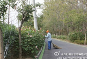 新宝会(中国区)有限公司-集团