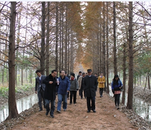 新宝会(中国区)有限公司-集团