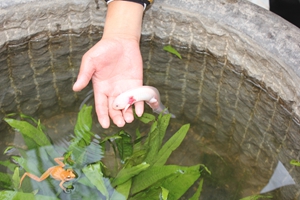 新宝会(中国区)有限公司-集团