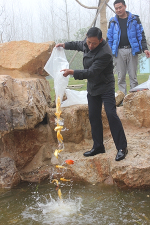 新宝会(中国区)有限公司-集团