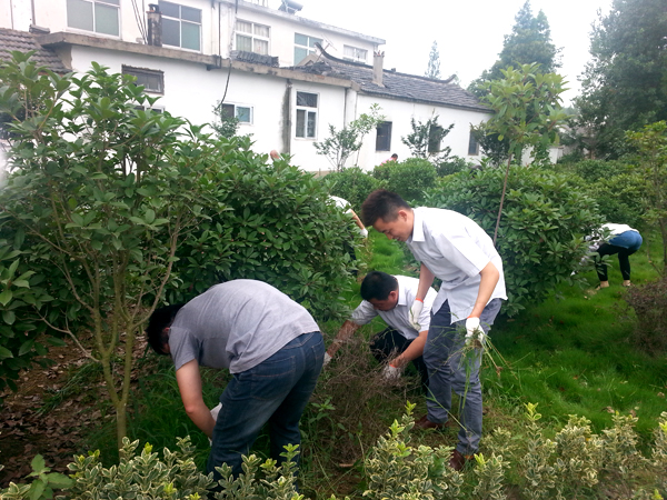 新宝会(中国区)有限公司-集团