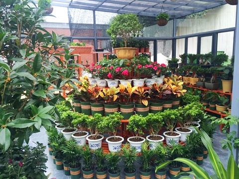 新宝会(中国区)有限公司-集团