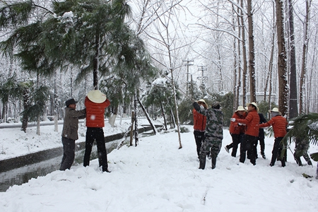 新宝会(中国区)有限公司-集团