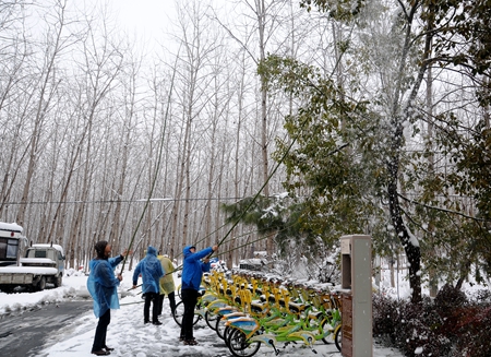 新宝会(中国区)有限公司-集团