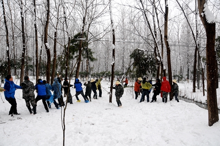 新宝会(中国区)有限公司-集团