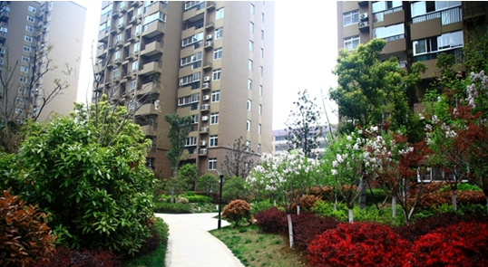 新宝会(中国区)有限公司-集团