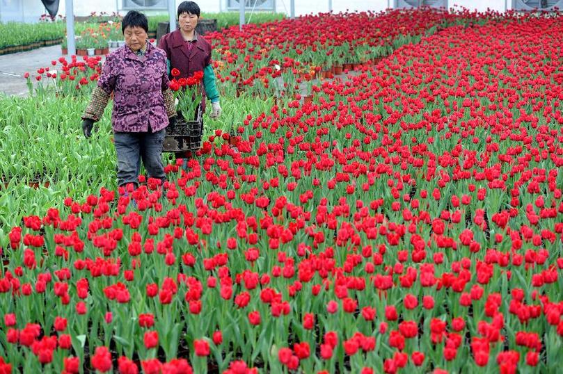 新宝会(中国区)有限公司-集团