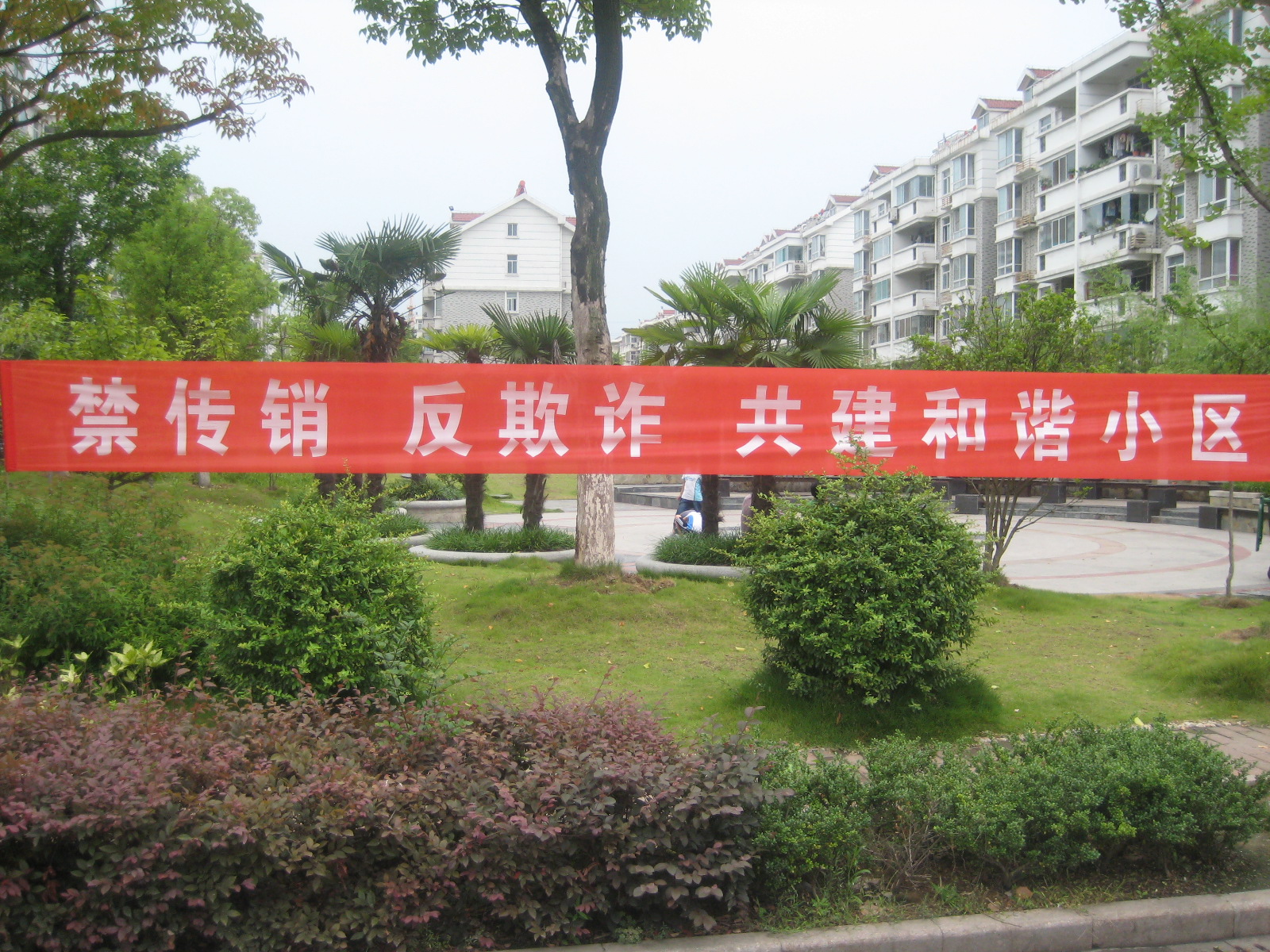 新宝会(中国区)有限公司-集团