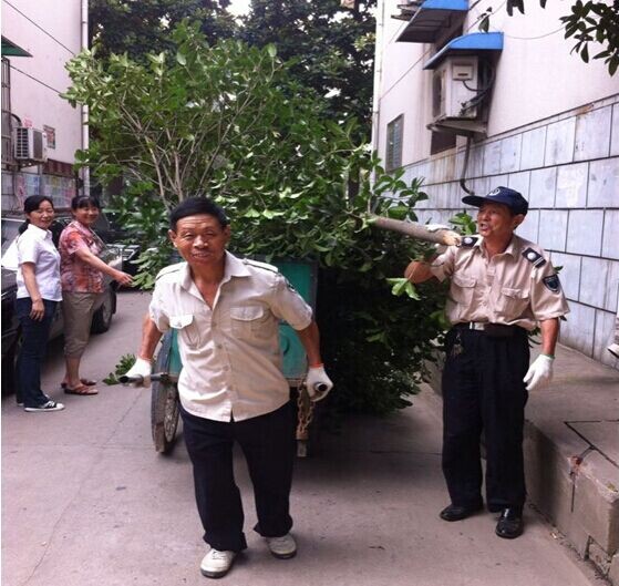 新宝会(中国区)有限公司-集团