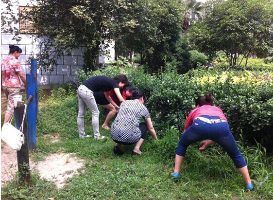 新宝会(中国区)有限公司-集团