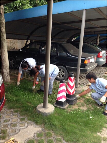 新宝会(中国区)有限公司-集团