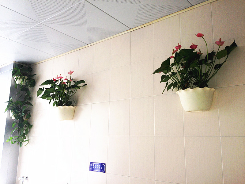 新宝会(中国区)有限公司-集团