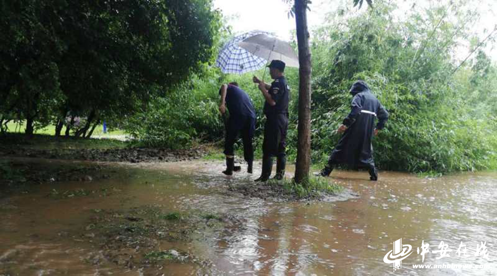 新宝会(中国区)有限公司-集团