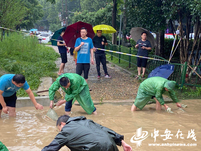 新宝会(中国区)有限公司-集团