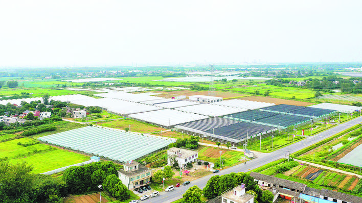 新宝会(中国区)有限公司-集团