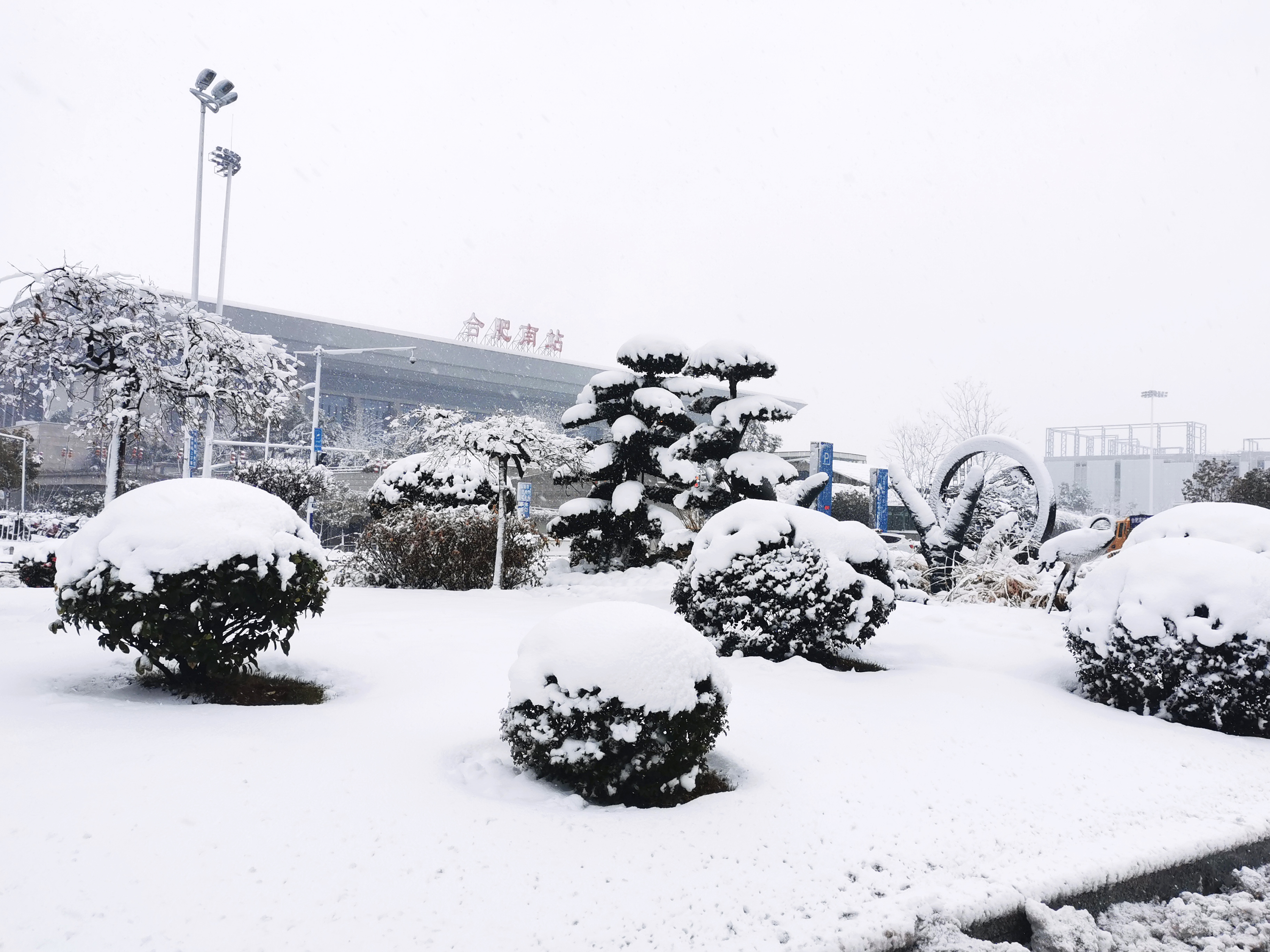 新宝会(中国区)有限公司-集团