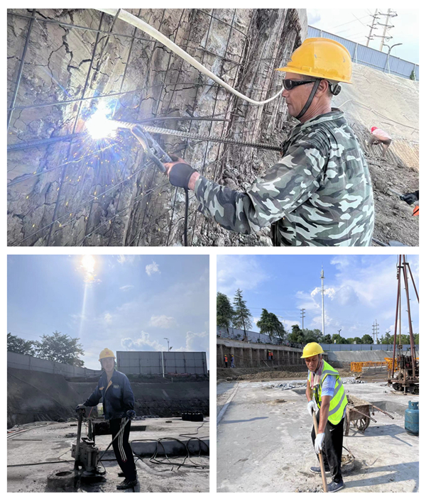 新宝会(中国区)有限公司-集团