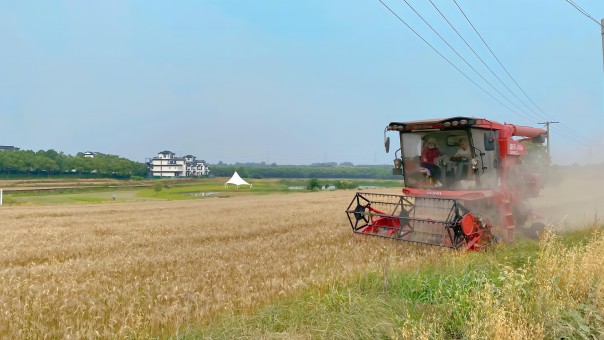 新宝会(中国区)有限公司-集团