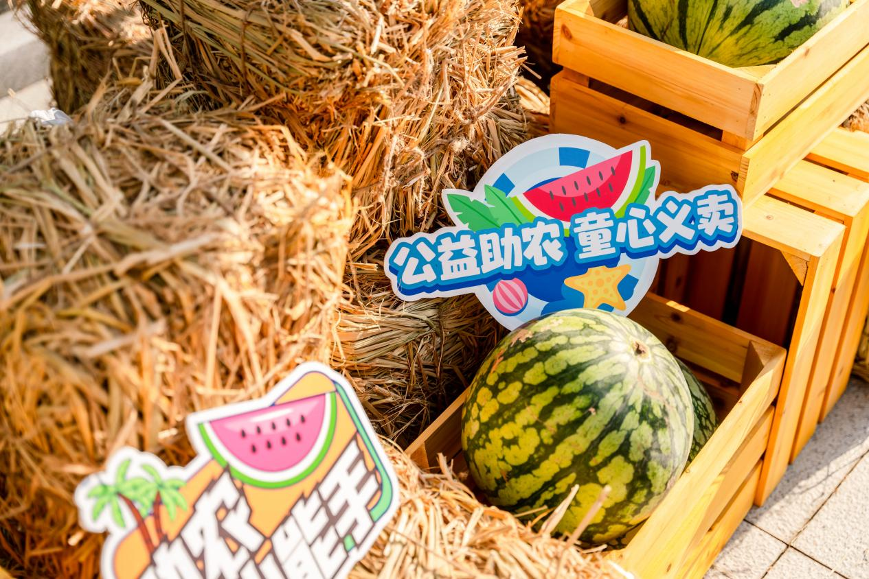 新宝会(中国区)有限公司-集团